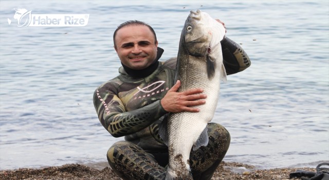 Zıpkınla 8,5 kiloluk levrek yakaladı