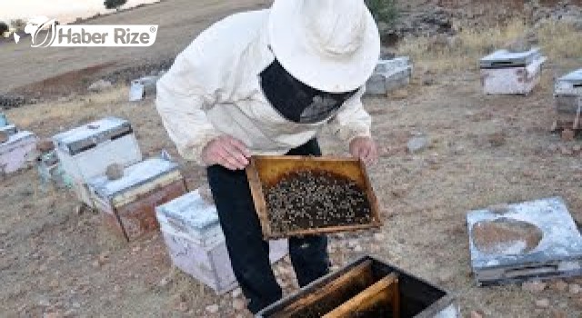 40 yıldır bal üreterek 7 çocuk yetiştirdi