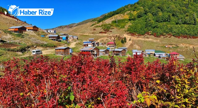 Artvin Macahel sonbahar renklerine bürünmeye başladı