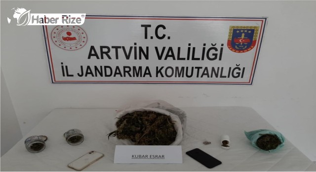 Artvin'de uyuşturucu operasyonunda 2 kişi gözaltına alındı