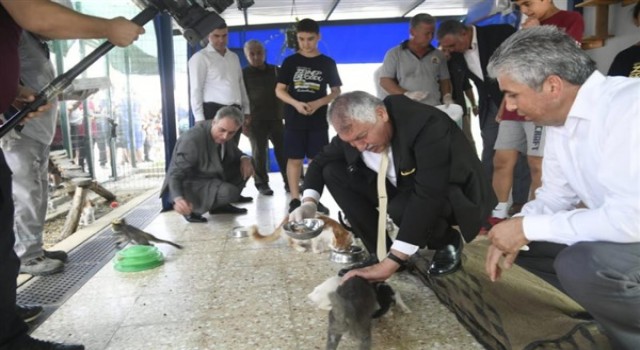 Başkan Karalar’dan Sokak Hayvanları Bakımevi’ne ziyaret