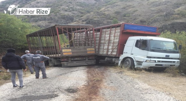 Bolu'da rampada kayan kamyondan atlayan sürücü öldü