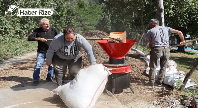 Fındık kapsülü öğütme makinesi ücretsiz kullanıma sunuluyor