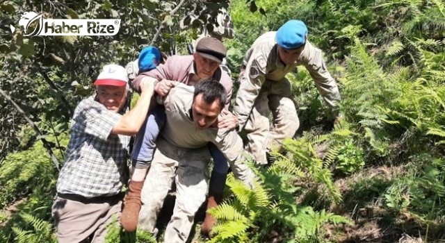 Giresun'da Alzheimer hastası yaşlı adam ormanlık alanda bulundu