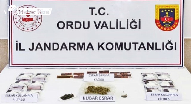 Ordu'da uyuşturucu operasyonunda 1 kişi tutuklandı