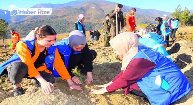 Amasra'daki patlamada hayatını kaybeden madenciler adına fidan dikildi