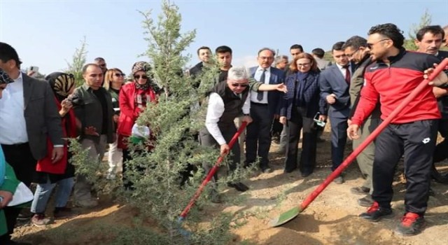 Hatay’da fidan dikimi töreni gerçekleştirildi