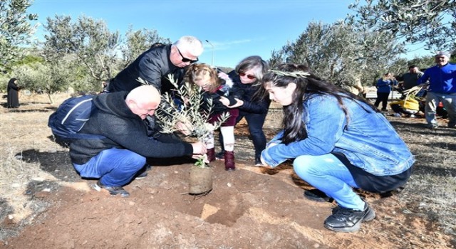 İzmir’de “Zeytin Çocuk Festivali” düzenlendi