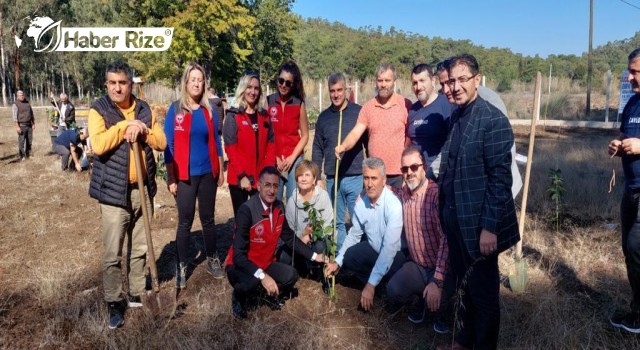 Marmaris’te Rize Mandalinası Bahçesi Kuruldu