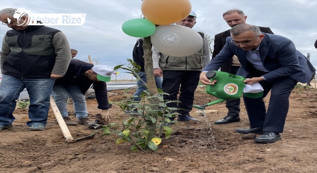 Rize'de "Milli Ağaçlandırma Günü" etkinliği