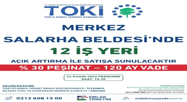 TOKİ Salarha Beldesi'nde 12 iş yerini açık arttırma ile satacak