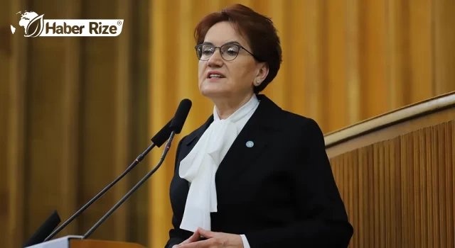 Akşener'den Özlem Zengin'e destek