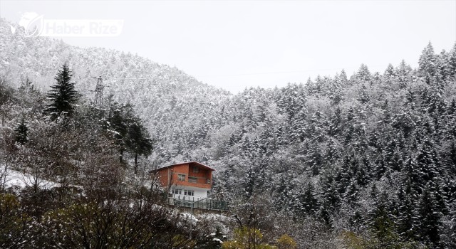 Karadeniz'in yüksek kesimlerinde kar etkili oldu