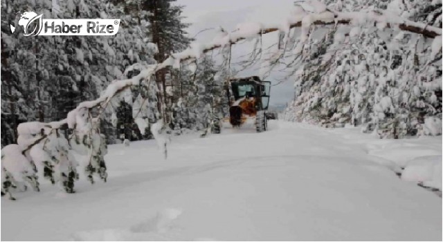 Köylerin yolları kar nedeniyle ulaşıma kapandı