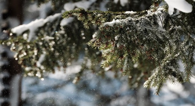 Meteoroloji’den kuvvetli kar uyarısı