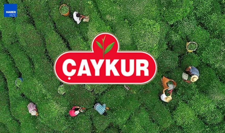 Çaykur Trabzon Eskipazar çay fabrikası kura sonuçları