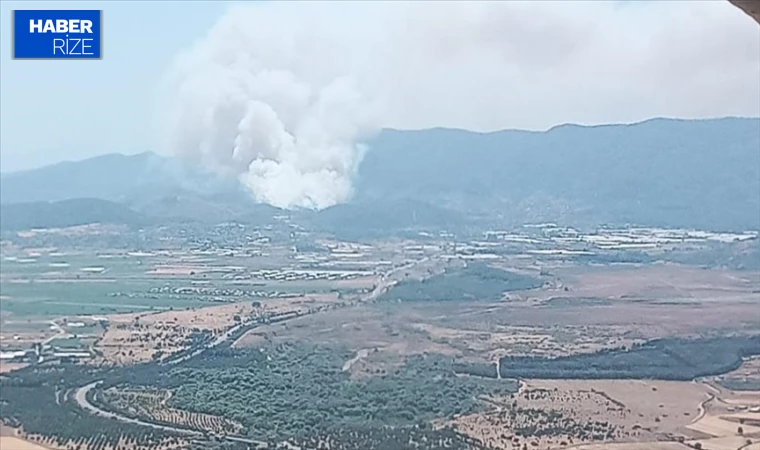 İzmir'de çıkan orman yangınına müdahale ediliyor