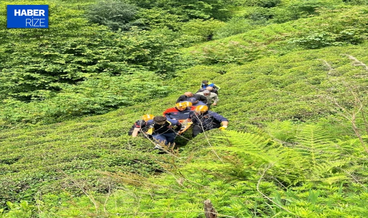 Rize’de kestiği ağacın altında kalan kişi yaralandı