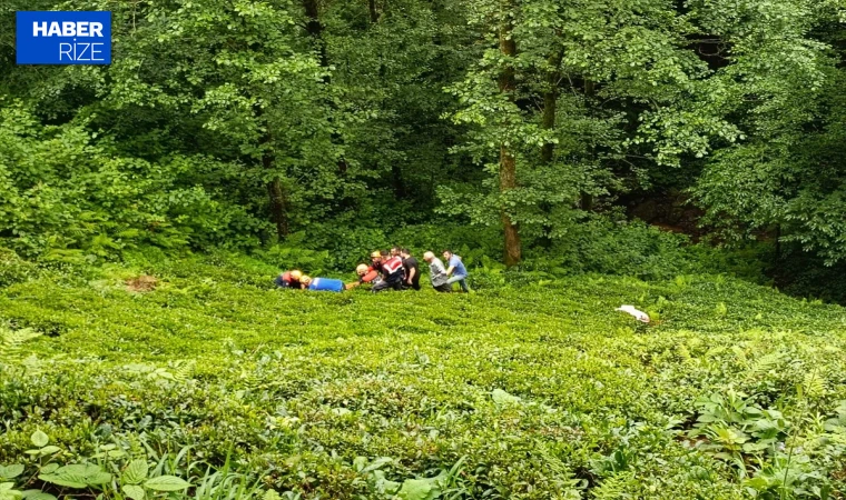 Rize’de odun keserken dereye yuvarlanan kişi yaralandı