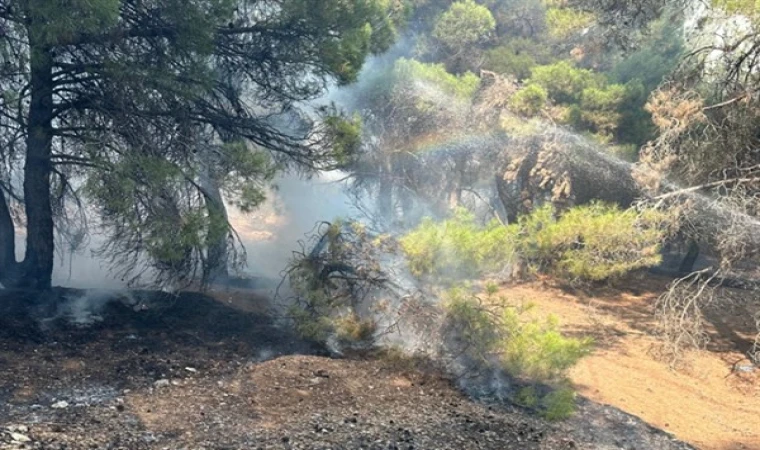 Gaziantep’teki orman yangınına 350 personel ve 127 araçla müdahale edildi