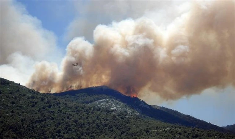 İzmir’in Menderes ilçesindeki orman yangını kontrol altına alındı