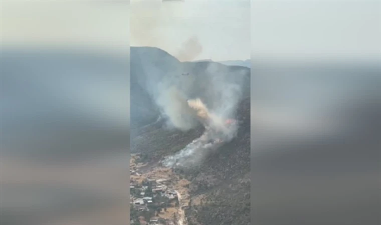 İzmir’de iki ilçede çıkan yangına müdahale edildi