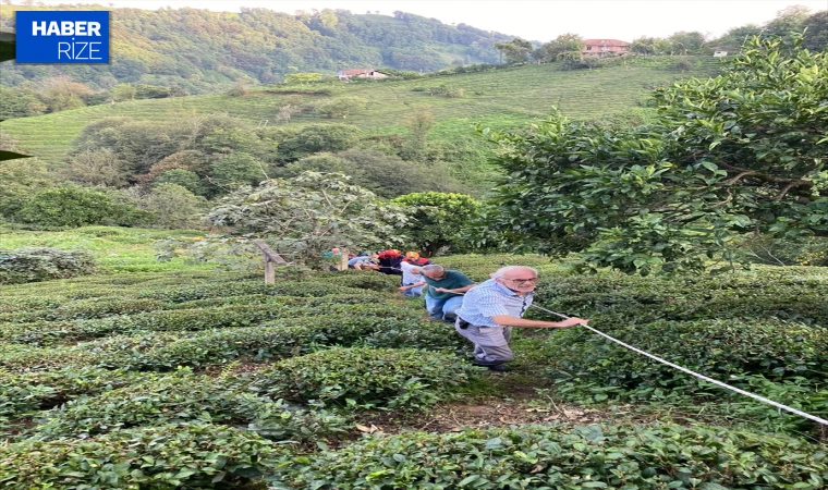 Teli kopan ilkel teleferikten çay bahçesine atlayan kadın yaralandı