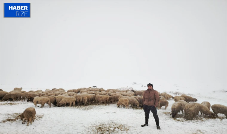 Tokat’ta kar yağışı sonrası çoban sürüsüyle yaylada mahsur kaldı