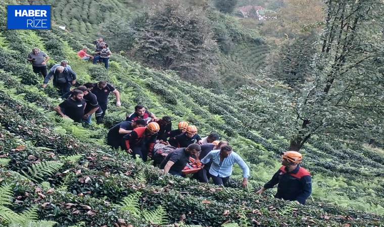 Yamaçtan yuvarlanan otomobilin sürücüsü öldü, eşi yaralandı