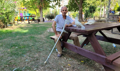 Ayağı sakat güvercin ”Paşa”, tek bacağını kaybeden işçiye yoldaş oldu