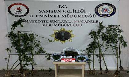 Samsun’da narkotik operasyonunda iki şüpheli yakalandı