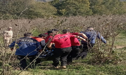 Ordu’da kaybolan kişi fındık bahçesinde ölü bulundu