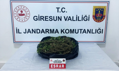 Giresun’da uyuşturucu operasyonunda bir kişi tutuklandı