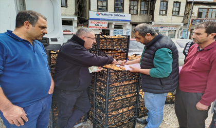 Sinop’ta toplanan mantarlar Türkiye’nin farklı kentlerine gönderiliyor