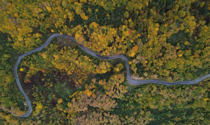 Karadeniz’de sonbahar tüm renkleriyle yaşanıyor