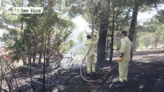 Örtü ve orman yangını kontrol altına alındı