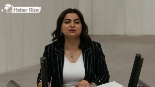 HDP'li Koçyiğit okullarda gıda desteği için Meclis araştırması istedi