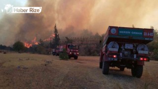 Mersin'de çıkan orman yangınına müdahale ediliyor