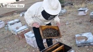 40 yıldır bal üreterek 7 çocuk yetiştirdi