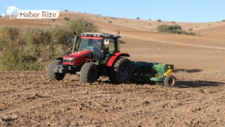 70 bin ton buğday ve arpa tohumu toprakla buluşturuluyor