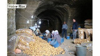 Mağaralardan çıkarılan patatesler ülkeye dağıtılıyor