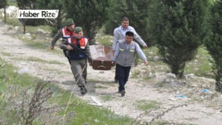 Yol kenarında kadın cesedi bulundu