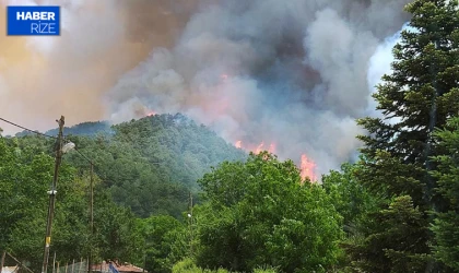 Aydın'da çıkan orman yangınına müdahale ediliyor