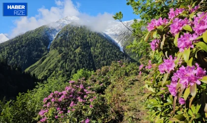 10. Temmuz Çarşamba Rize'de Hava Durumu