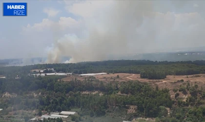 Antalya'da çıkan orman yangını kontrol altına alınmaya çalışılıyor