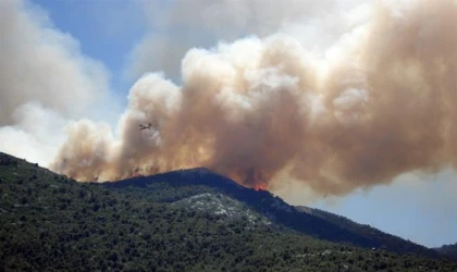 İzmir’in Dikili ilçesinde orman yangını