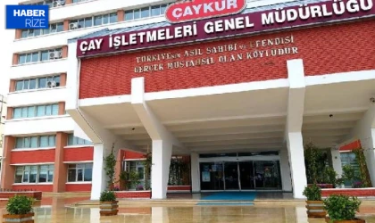 ÇAYKUR, yaş çay bedeli ödemelerine yarın başlıyor