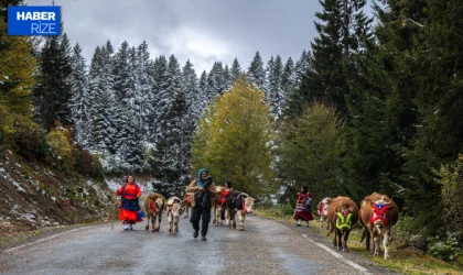 Doğu Karadeniz’de kar yağışı yaylalardan dönüşü hızlandırdı