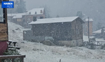 Karadeniz'in yüksek kesimlerinde kar etkili oldu