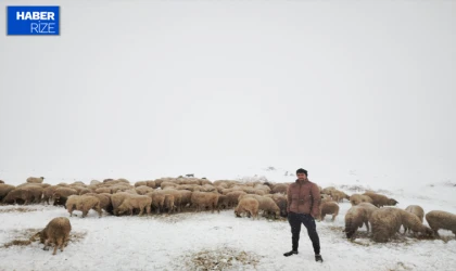 Tokat’ta kar yağışı sonrası çoban sürüsüyle yaylada mahsur kaldı